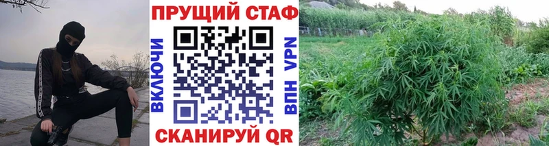 Что такое Судак Cocaine  АМФЕТАМИН  ГАШИШ  МЕФ  A PVP 