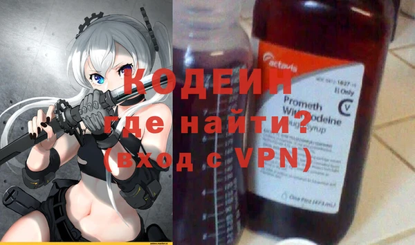 стаф Инта