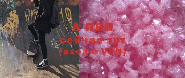 ешки Аркадак