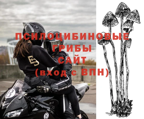меф Алзамай