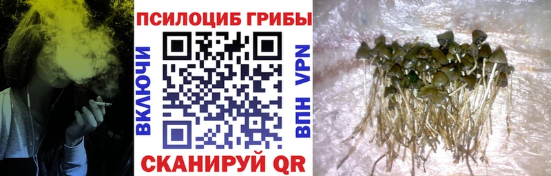 Галлюциногенные грибы мицелий  Судак 