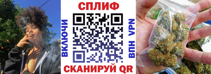 Конопля OG Kush  Судак 